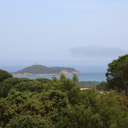 Villa Pietra Rossa Sainte-Lucie de Porto-Vecchio Zewnętrze zdjęcie